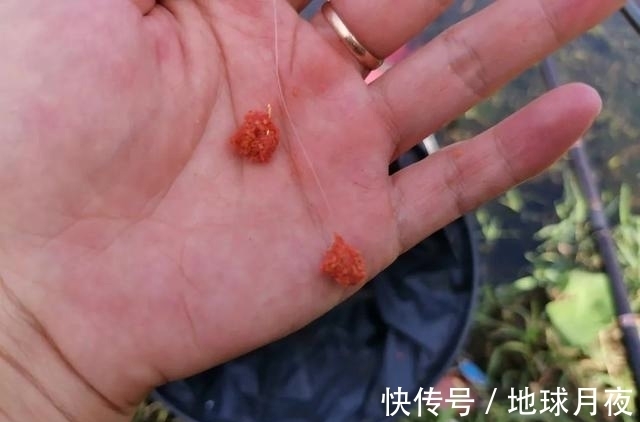 野钓屡屡空军绝非偶然,从这3个方面找原因,打破空军魔咒