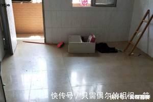 地价|再见了房东或许再也不见,一个月收我1300块钱房租,我交不起