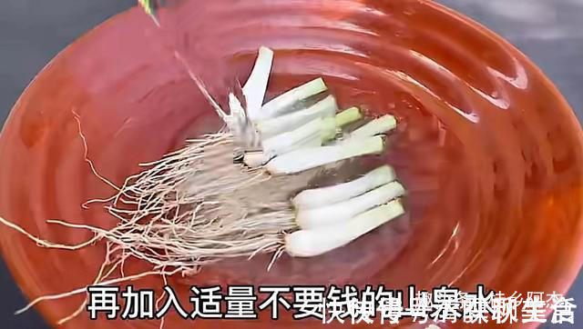 搅拌均匀|扔葱根等于扔钱，葱根原来是个宝，作用这么厉害，太实用了