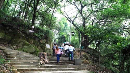 重庆这几处最美登山道，等你去打卡，哪个才是最美的呢？