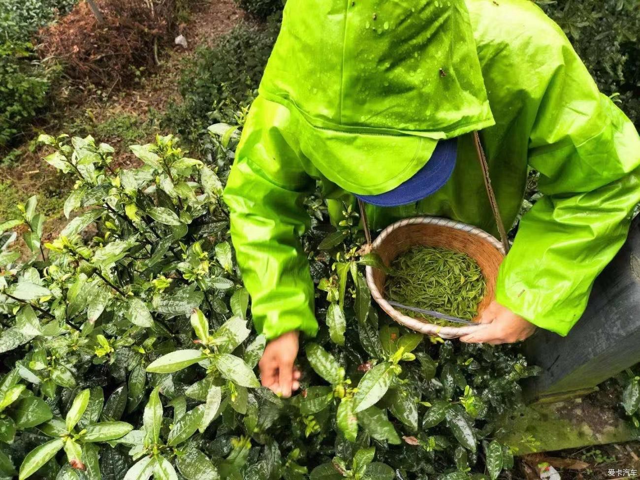 细雨邂逅虞山