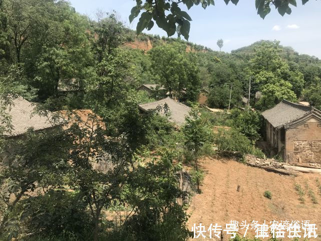 五树&俗话说“院中栽五树,子孙一直富”,啥意思指的是哪五种树