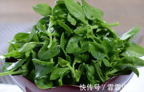 药用价值|农村一种野草,生长在水沟却很珍贵,药店里一斤90块