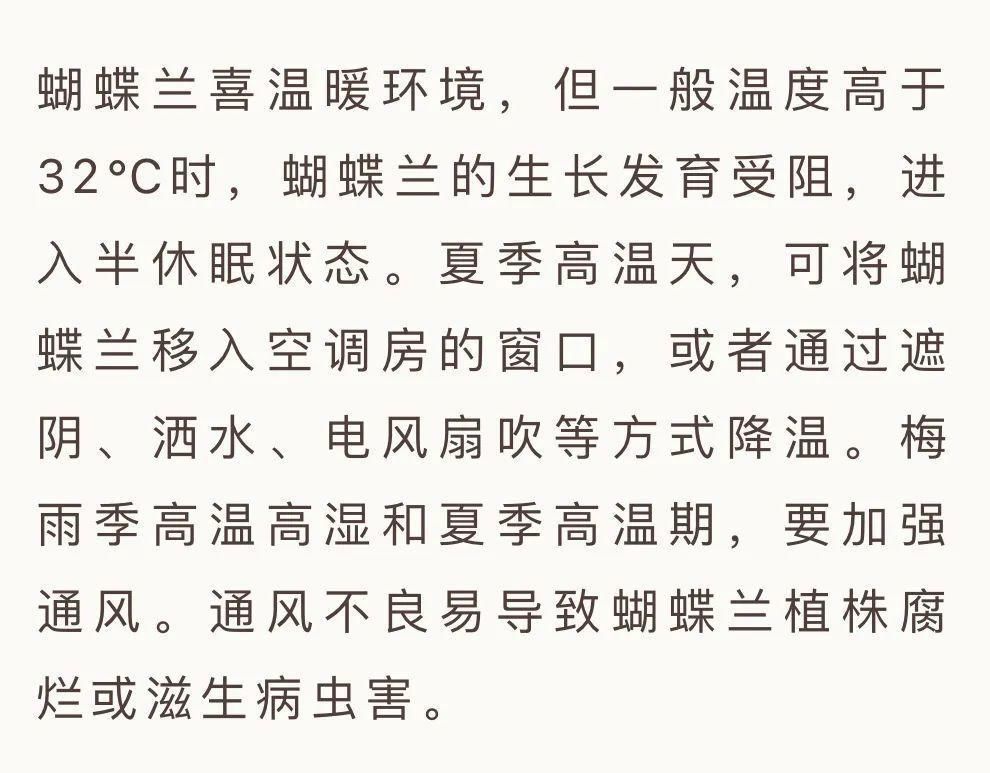 蝴蝶兰在家里怎么养？这些问题的解答来了！