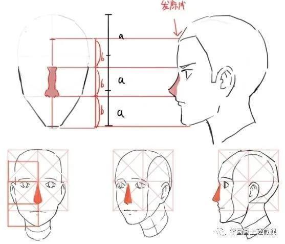  教程|人物头部绘法教程，练起来！