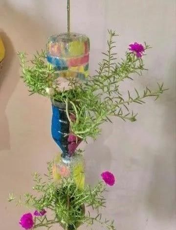 植物|没地种花种菜,没时间浇水几个塑料瓶就能解决,DIY变废为宝