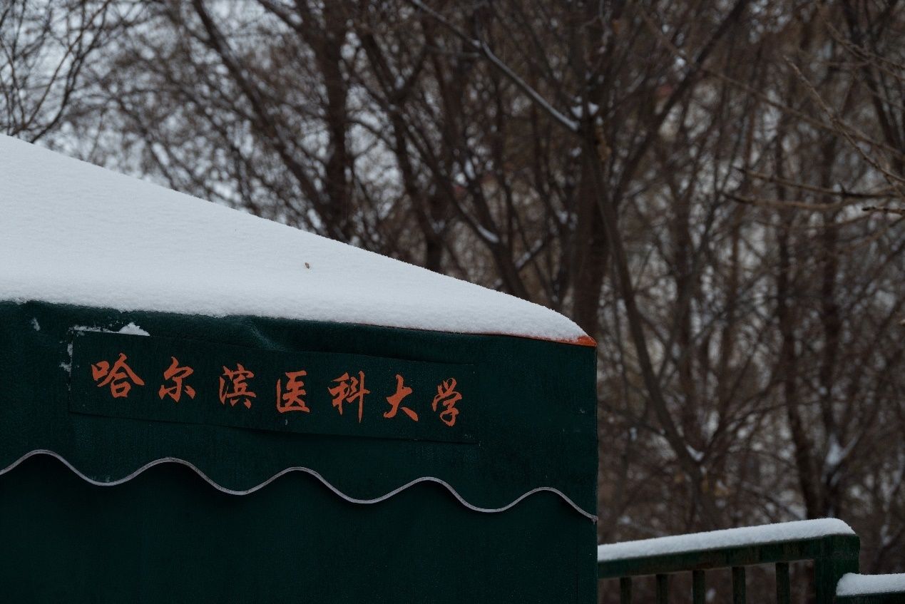 哈医大|【雪落象牙塔】哈医大：凭栏观雪 赏玉树银花