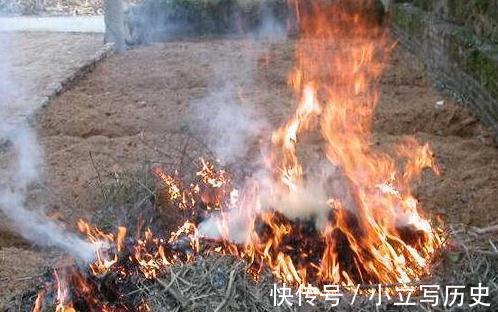 有了农村来的这几样东西，再名贵的花卉都可以养的很好