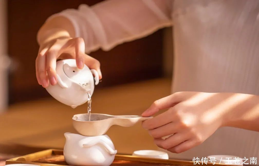 藏一饼普洱,品茶中岁月