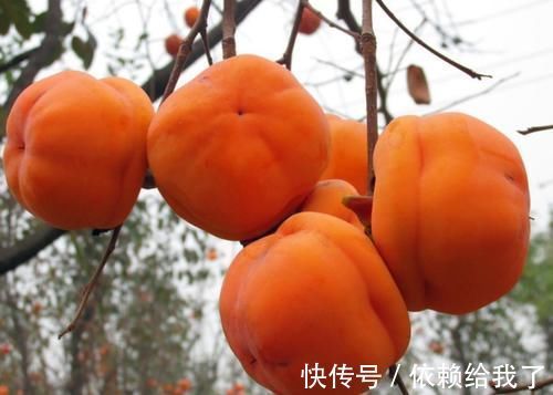 抗衰老|“奔五”的女性别太省钱,常吃4种养生食物,美容养颜抗衰老