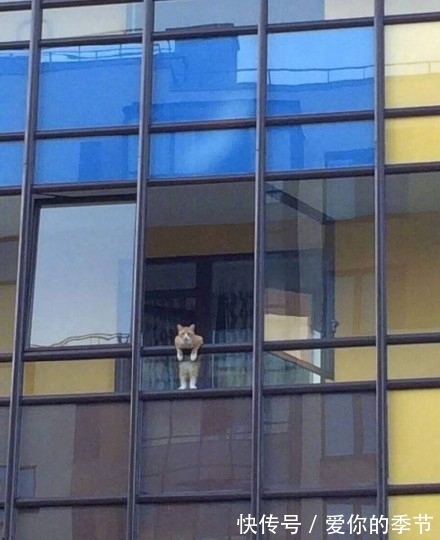 |幽默搞笑段子集:商场的按摩椅专区真是欢乐无穷啊,哈哈哈哈哈哈