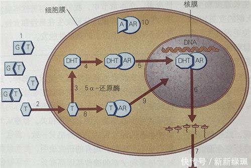 俗话说“十个光头九个富”，下半句才是精华，老祖宗的话至今受用