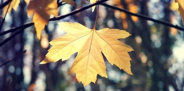 巴结者&人情冷暖,在身份变化中一目了然!