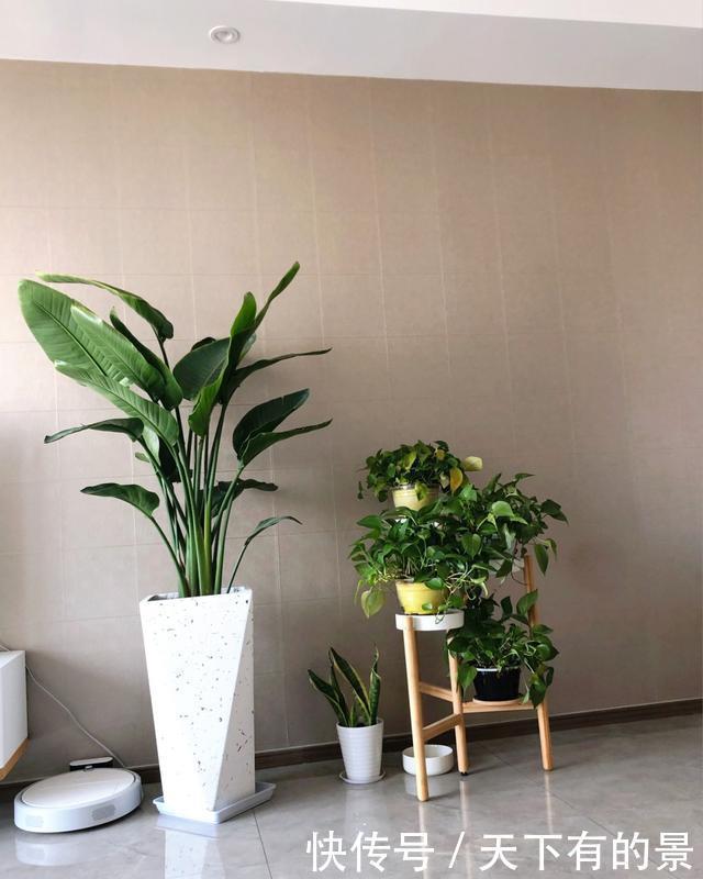 储物空间|辛苦大半年终于乔迁新房,全屋很舒适,一家四口幸福新生活