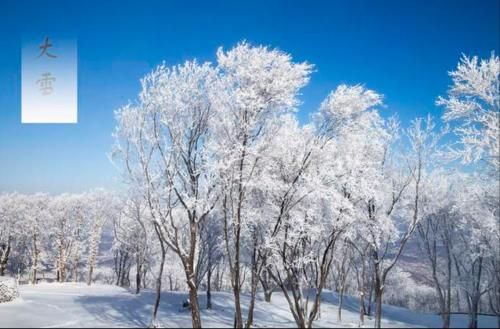  高血压|大雪节气到，高血压患者多吃这4种水果，有助血压平稳，远离心梗