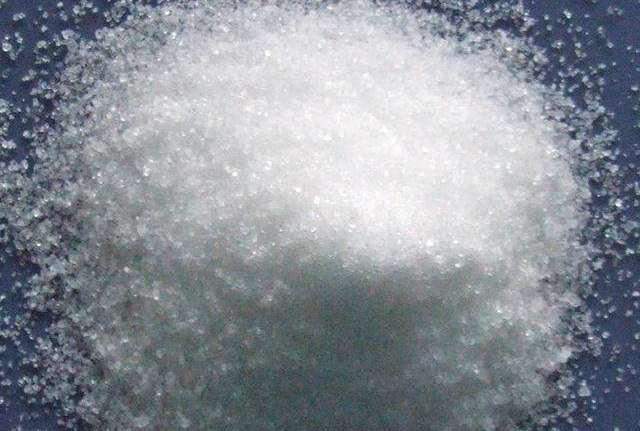 君子兰长得慢、不开花2种肥扔盆里，注意几点，轻松开爆盆