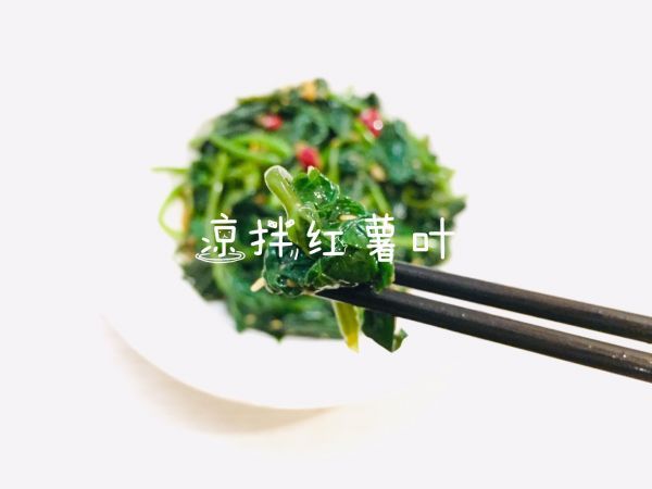 红薯叶|凉拌红薯叶