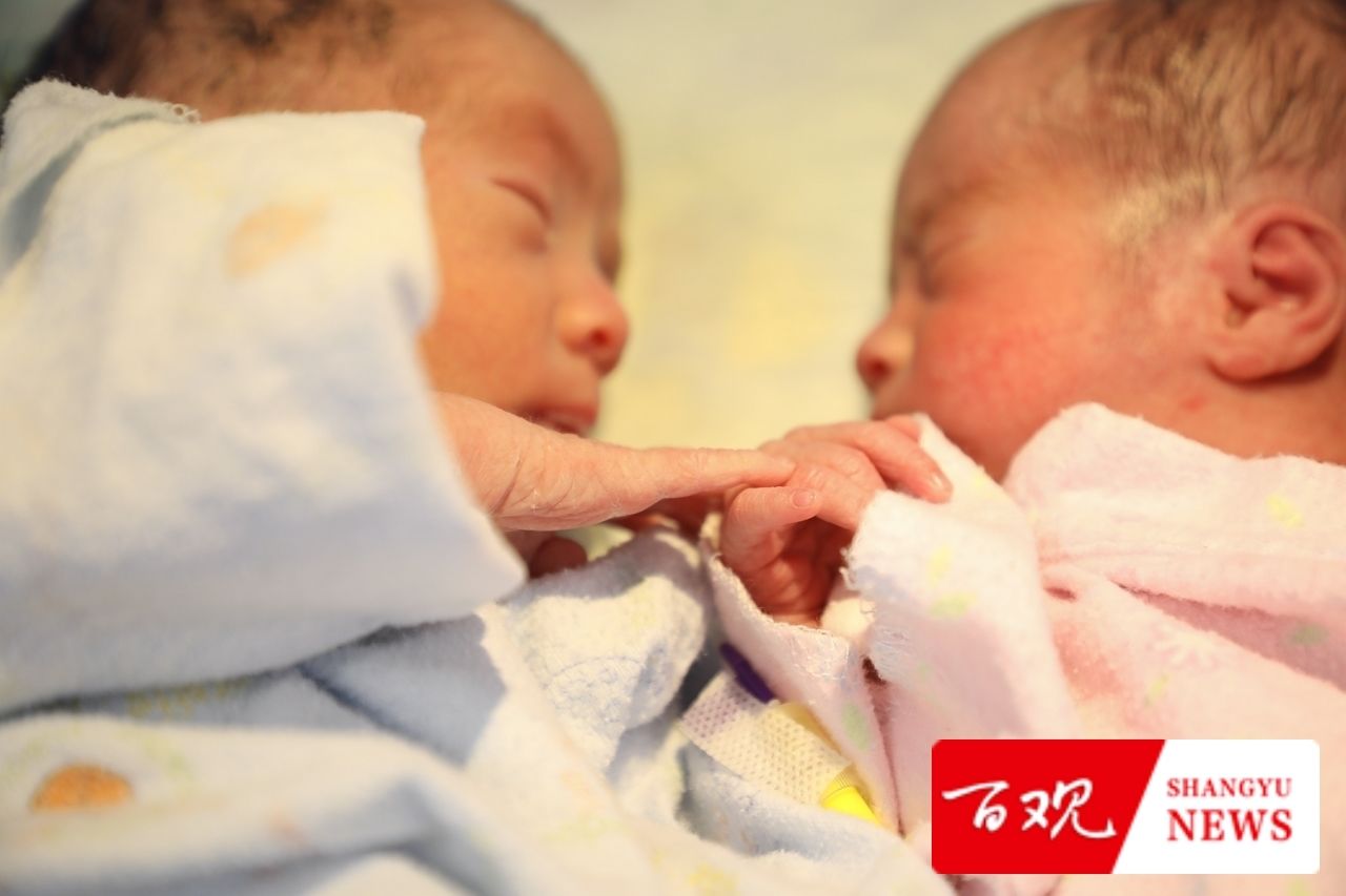 浙大妇院|龙凤胎宝宝成功降生，带来希望的曙光