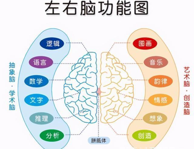记忆力|孩子有以下特征,说明右脑发达,好好栽培很可能成为“学霸”