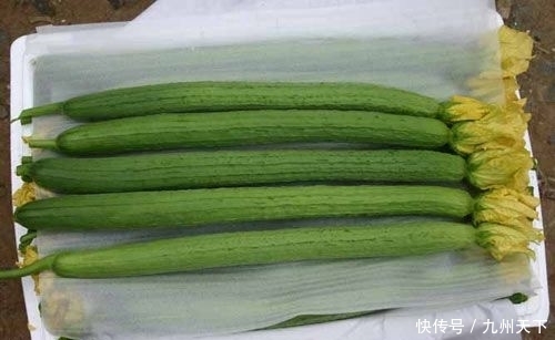 食物|这5种天然“防晒”食物,女人早晚吃一吃,比防晒霜实惠