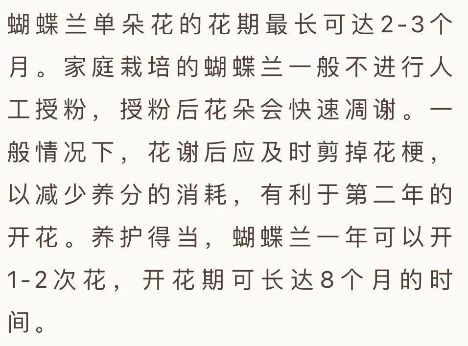 蝴蝶兰在家里怎么养？这些问题的解答来了！