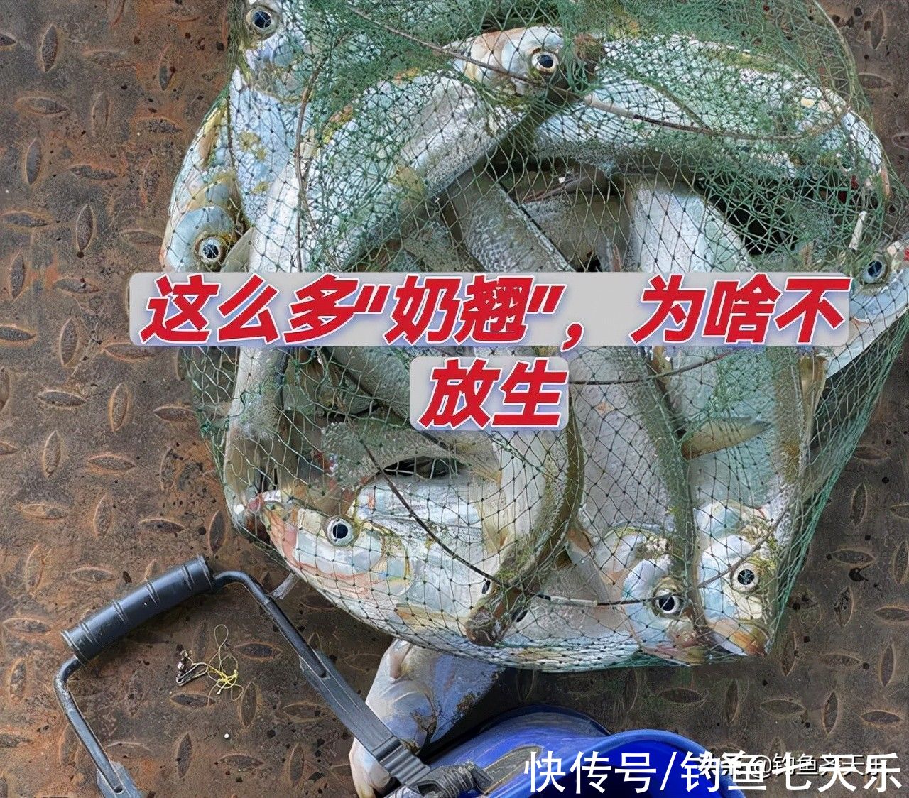 湛江|湛江钓友晒渔获被网暴:为啥不放生?资源枯竭,钓鱼人该怎么办