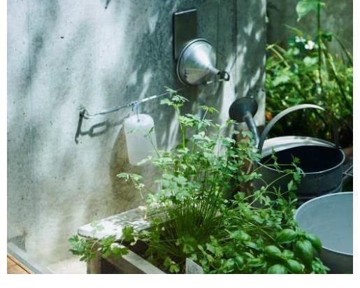 家居|日本夫妇的“绿植”之家,温馨又清新,夏日也能过得很“清新”