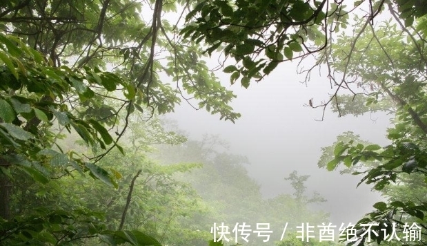 凡夫#知者不言,言者不知,那么在老子眼中什么样的人能称之为“知者”