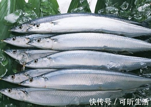 优质蛋白|买鱼时，认准这4种，目前无法人工养殖，都是野生海鱼，放心吃！