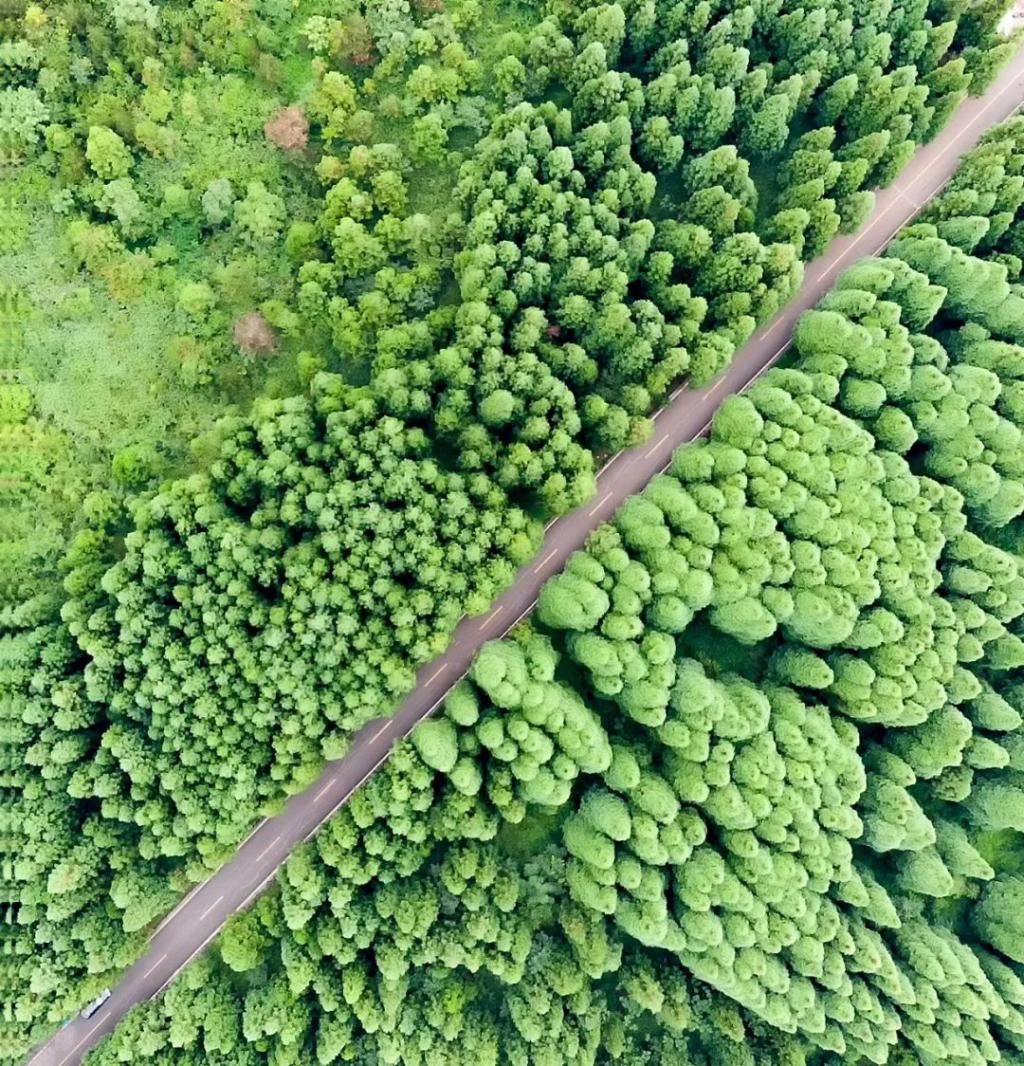 沿途|石柱这些高颜值公路建成，沿途藏着最美的山水景致！