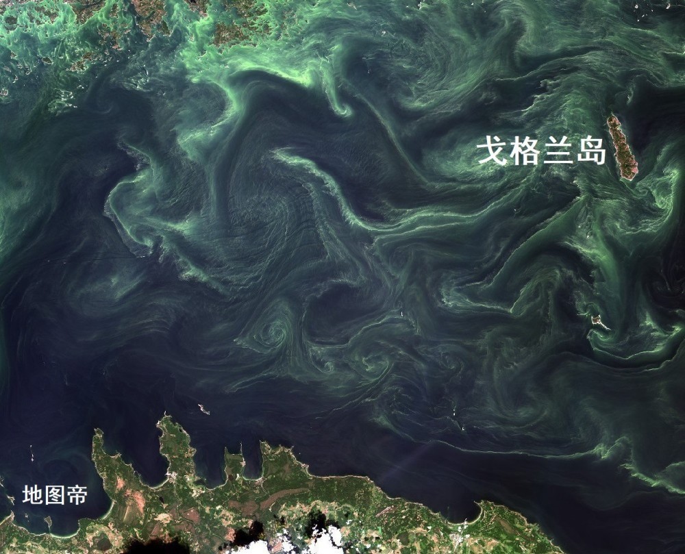 苏联|苏联租借戈格兰岛,芬兰为什么宁可战争也不租?