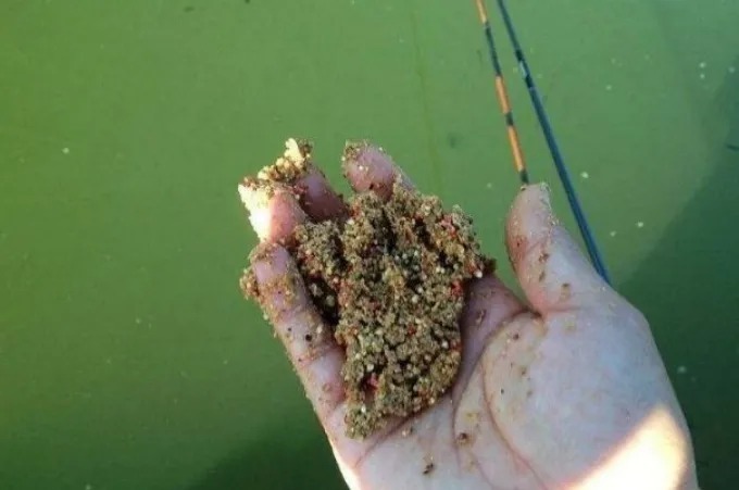 冬季打窝我可不随便!只要有这“诱鱼套路”,上鱼率特高