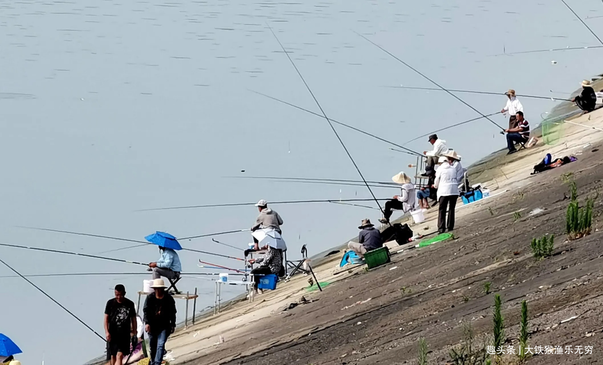 鱼苗|无赖河霸日益增多，野河不让钓鱼，百万野钓大军将何去何从