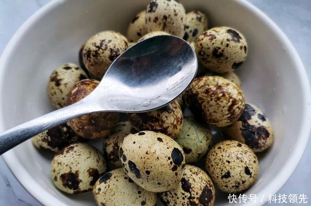 它是“动物中的人参”，早晚吃几颗，健脑益智护视力，孩子可多吃