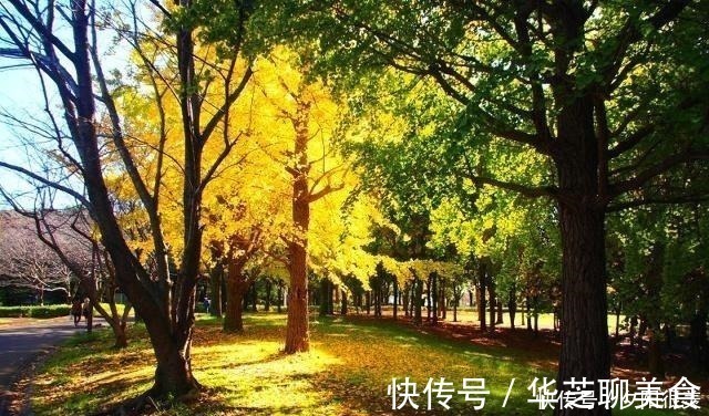 草色#王维劝朋友加餐,竟也能成千古绝唱,短短几句安慰了多少失意人