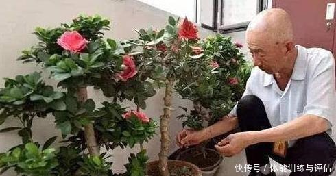 1种东西,人人都见过,砸碎晒一晒,养花盆里加一勺,叶绿花也多!