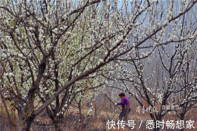 芳华|拥抱今天，不负芳华！你，就是这春光中最好的风景