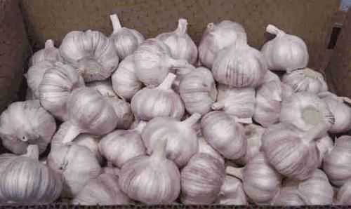 这4种“大蒜”尽量别买买了也不要吃,现在知道还不晚