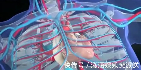 身体|人死后，身体里的血液都去哪了说出来你不相信！