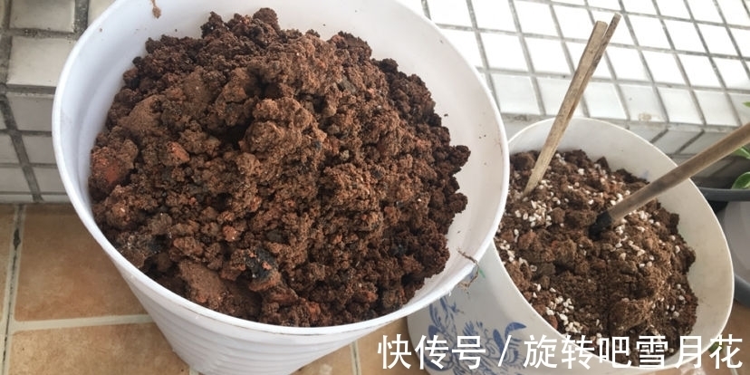 栽种|养花“小抠”教你省钱:用它们当基质土,钱包不用再“缩水”了