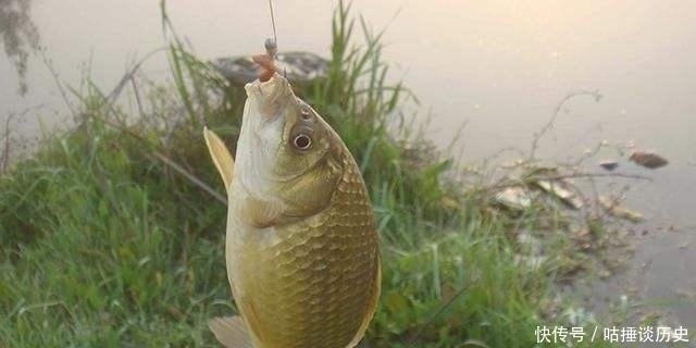 野钓鲫鱼时，一旦遇到这3种情况，老钓友第一反应：马上调整