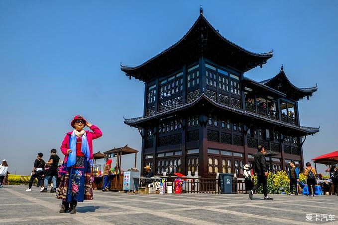 中年|春暖花开游江南-千垛景区水上森林之旅