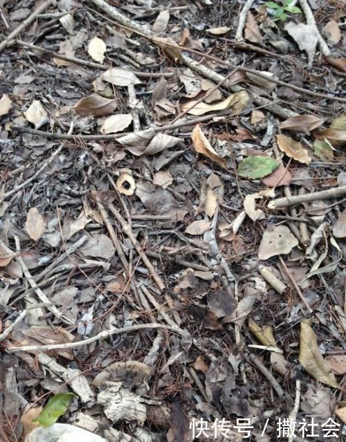 如果你有5个“坏习惯”，恭喜你，是养花高手！