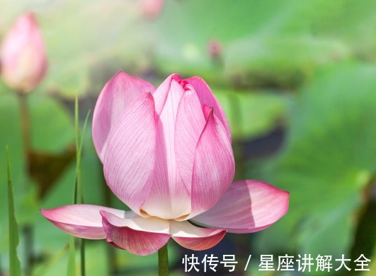 天解|10月中旬，喜事临门，4属相桃花旺盛，爱情甜蜜，生活美满幸福