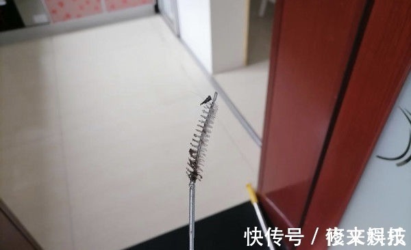 垃圾桶|晒晒我家的12个“土味好物”,颜值不咋地,却能靠实用性逆袭!