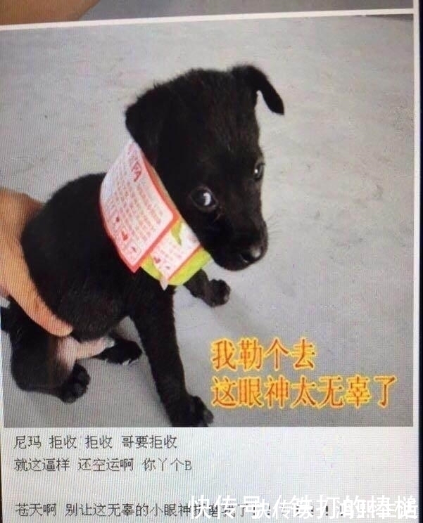 |买家秀和卖家秀的搞笑对比,笑哭客服人员。。