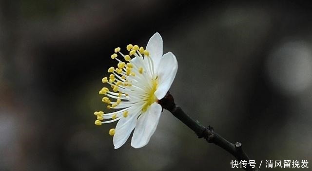 得罪|简简单单两句话,让你少得罪多少人!(深度好文)