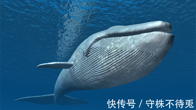 奇怪知识|23个冷知识：得到过验证，可以使人博学的奇怪知识