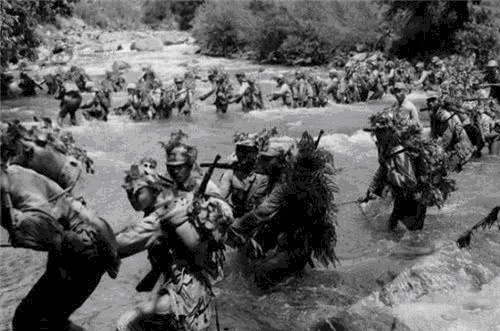 山里|唯一活着走出野人山的女兵:山里遇到的东西,比日军更恐怖