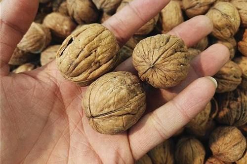 益智果|核桃有两面性，正确使用是养生佳品，错误使用或会诱发血管疾病